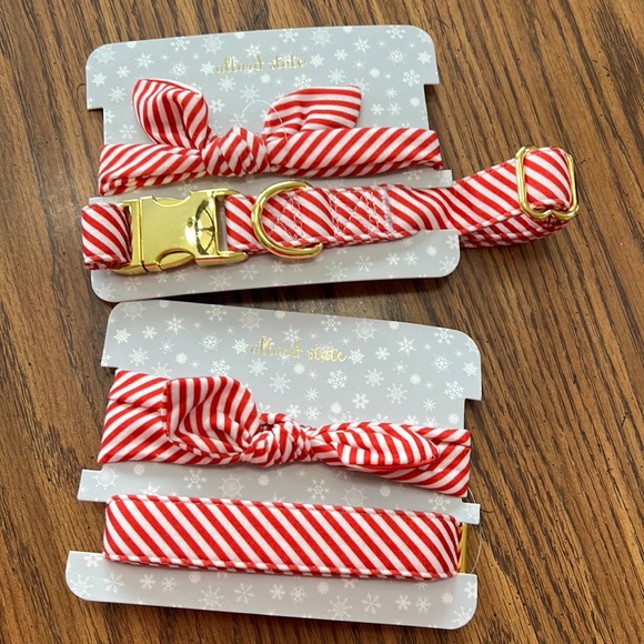 Dog combo collar and bow - Picture 1 of 7